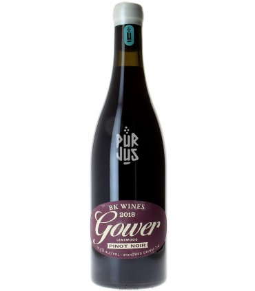 Gower Pinot Noir - 2018 - Brendon Keys