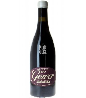 Gower Pinot Noir - 2019 - Brendon Keys
