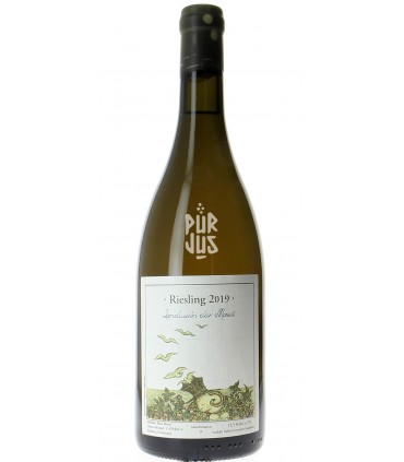 Riesling - 2019 - Felix Sebastian