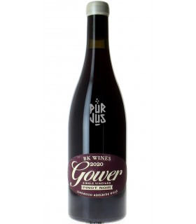 Gower Pinot Noir - 2020 - Brendon Keys