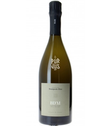 M - Jérôme Bourgeois