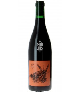 Chénas - 2023 - Romuald Valot