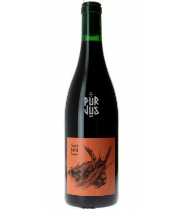 Chénas - 2023 - Romuald Valot