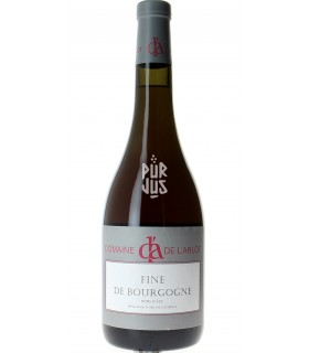 Fine de Bourgogne Hors d'Age - Domaine de l'Arlot - Géraldine Godot