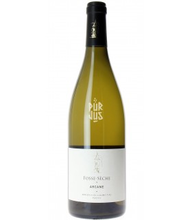 Arcane - 2022 - Adrien et Guillaume Pire