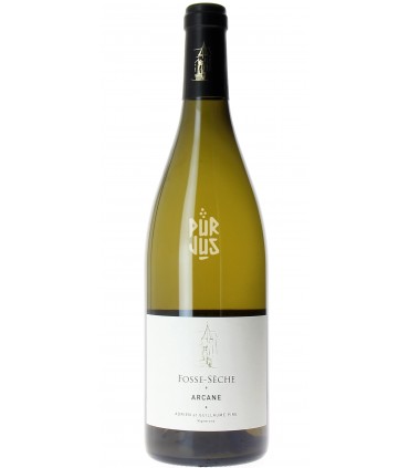 Arcane - 2022 - Adrien et Guillaume Pire