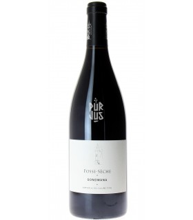 Gondwana - 2020 - Adrien et Guillaume Pire