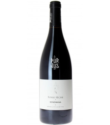 Gondwana - 2020 - Adrien et Guillaume Pire