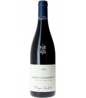 Gevrey Chambertin - 2020 - Morgan et Julie Truchetet