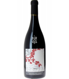 Adonis - 2020 - Renaud Guettier