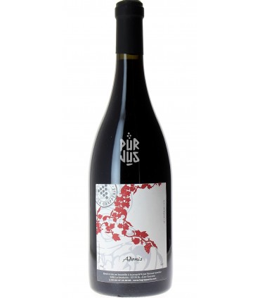 Adonis - 2020 - Renaud Guettier