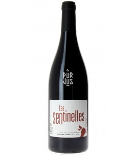 Les Sentinelles - 2021 - Philippe Chevarin