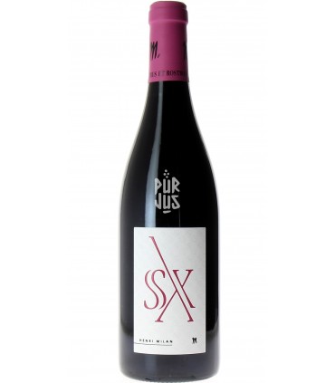 S & X - 2017  - Théophile Milan