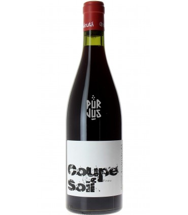 Coupe Soif - 2023 - Marc Castan