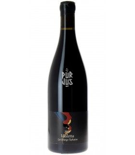 Violetta - 2019 - Coralie et Damien Délécheneau