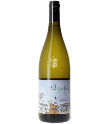 Bigotes - 2022 - Frédéric Cossard