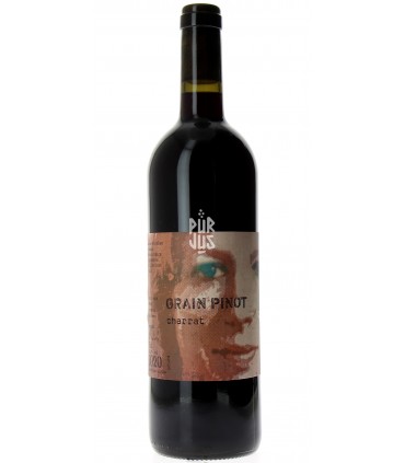Grain Pinot "Charrat" - 2020 - Marie Thérèse Chappaz