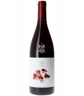 Oeillet Rouge(s) - 2023 - Nicolas Renaud