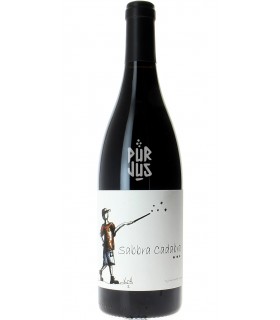 Sabbra Cadabra - 2020 - Sylvain Boutée