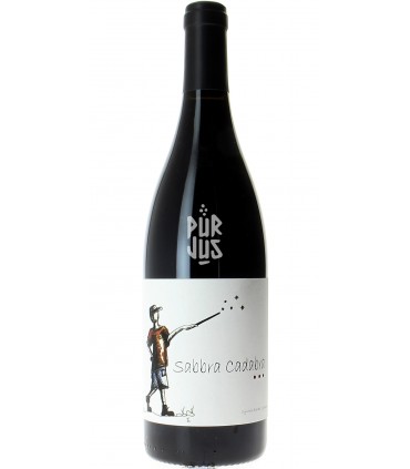 Sabbra Cadabra - 2020 - Sylvain Boutée