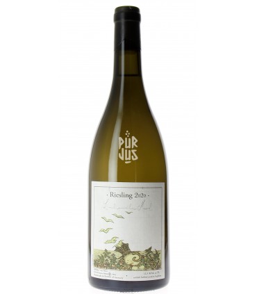 Riesling - 2020 - Felix Sebastian