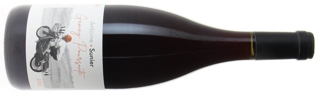 DOMAINE ANTOINE SUNIER